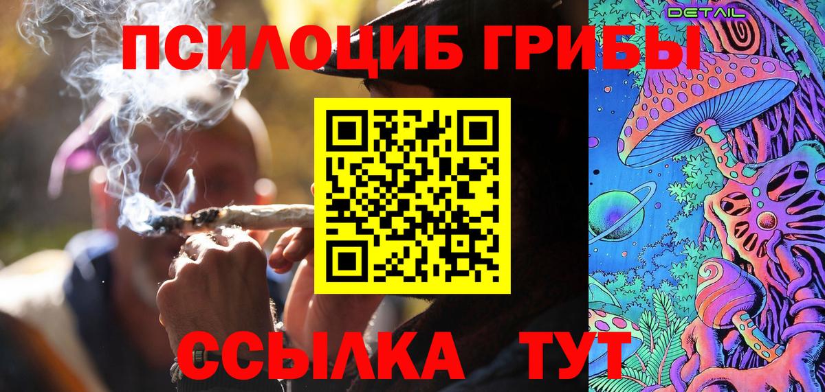 Псилоцибиновые грибы Psilocybine cubensis Братск