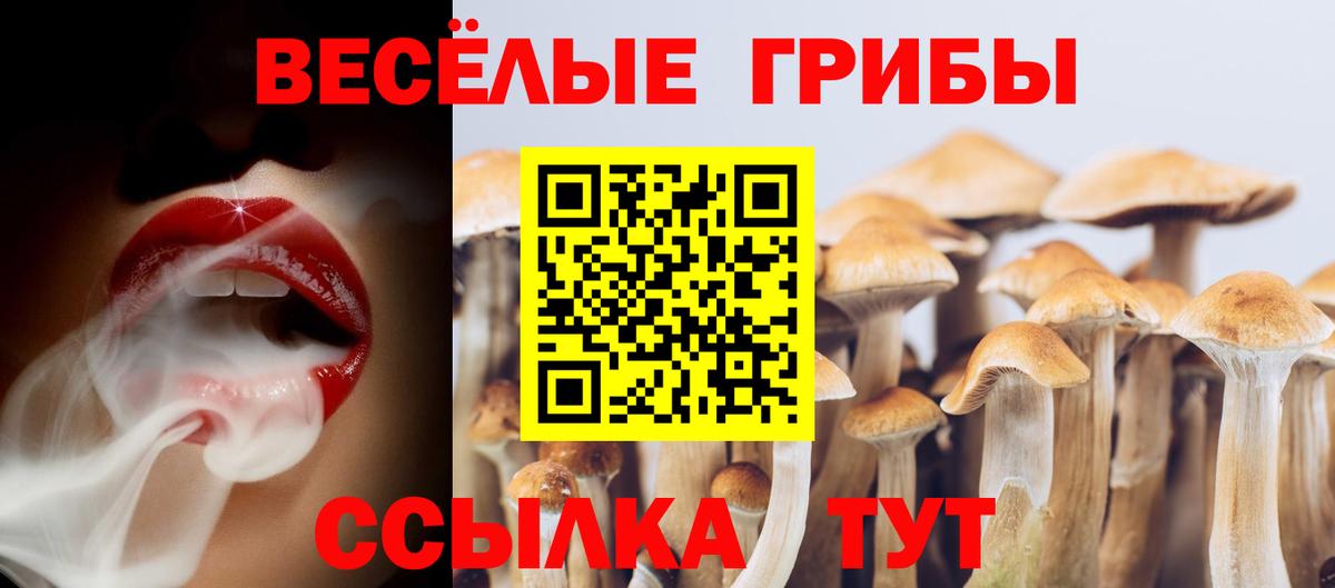 Галлюциногенные грибы Magic Shrooms  Вход с VPN  Галлюциногенные грибы ЛСД  Братск 
